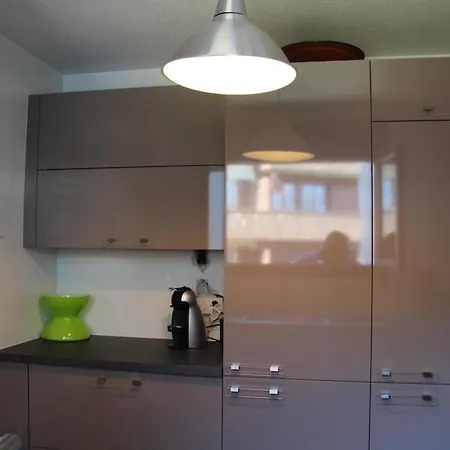 Cozy Place In With A View Apartment Leysin